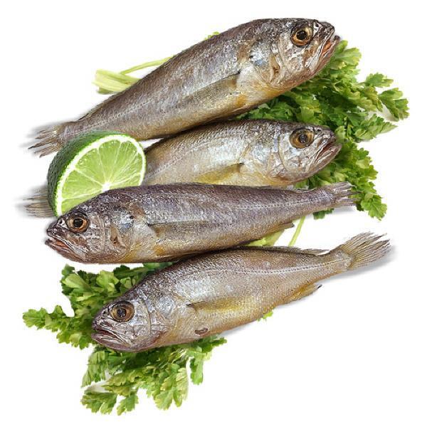 두레생협 영광굴비(대1.7kg 20미)