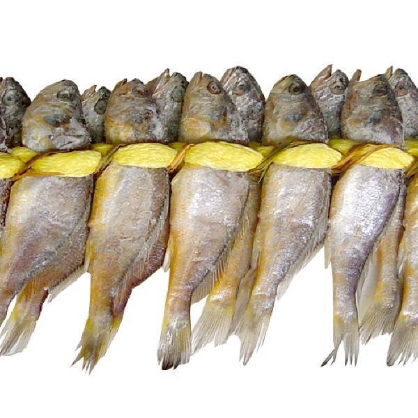 두레생협 영광굴비(중1.6kg 20마리)