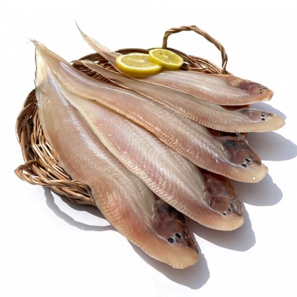 군산 반건조 박대 5미 대
