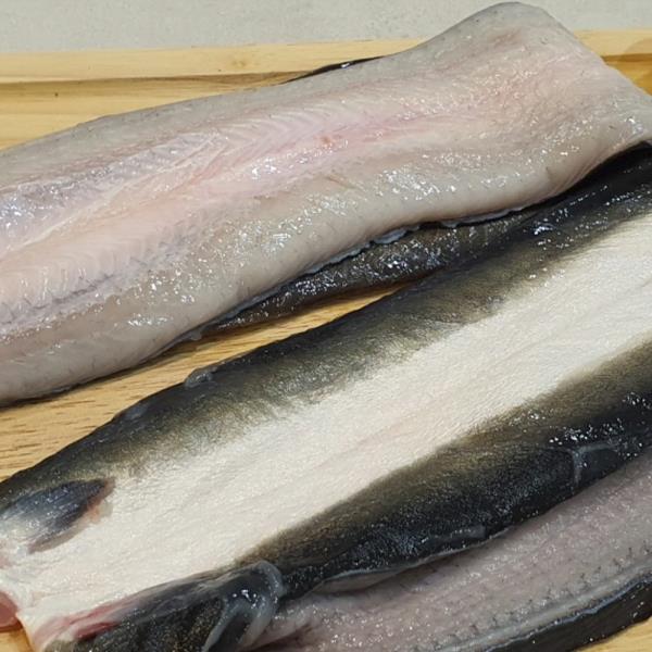 자포니카 민물장어 1kg