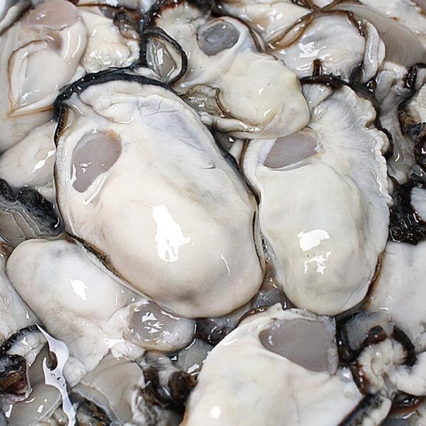 통영 생굴 1kg