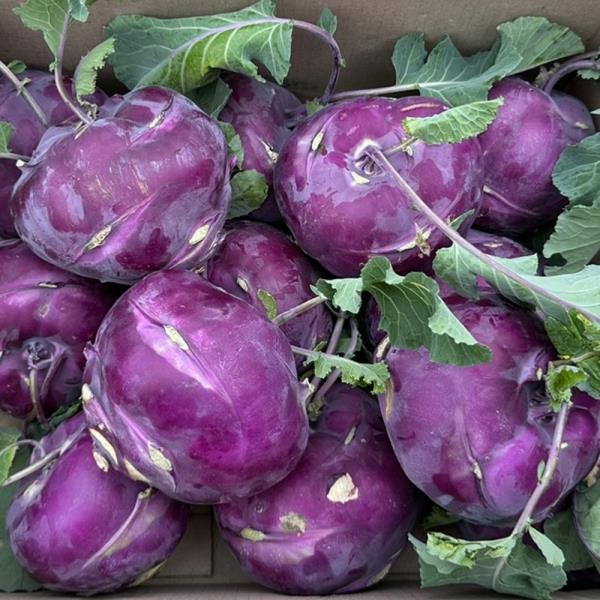 콜라비 3kg 특품