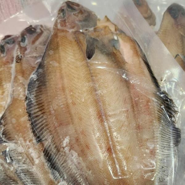 국내산 손질 반건조 기름가자미 10미