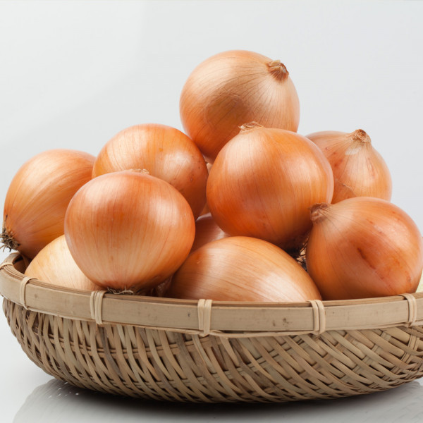 경남 밀양 국내산 단단한 햇 양파 (중) 10kg