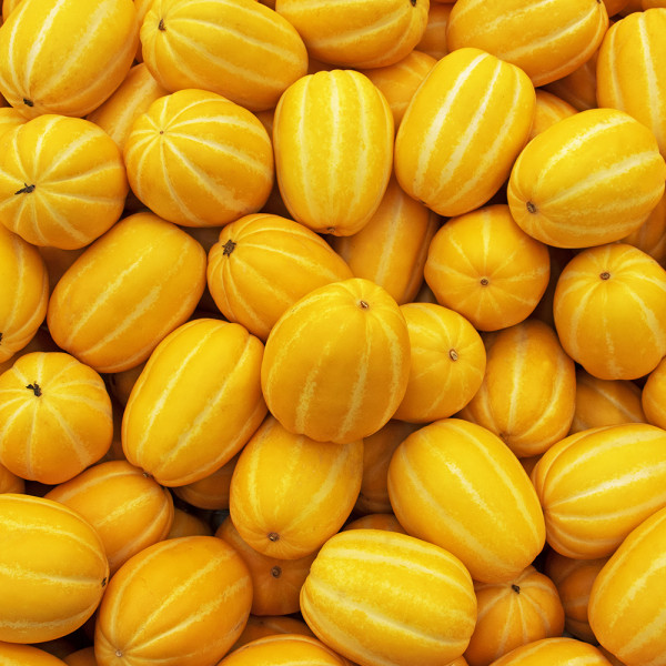 첫출하 고당도 성주 꿀참외 소과 3kg (16-25과 내외)