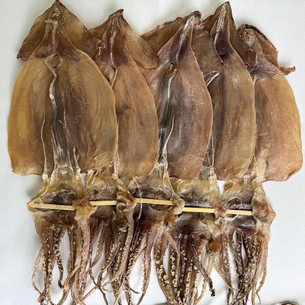  마른오징어 건조오징어 5미 (300g 내외)