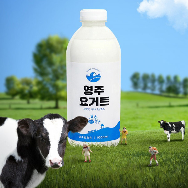 호수목장 소백밀크 플레인 수제 요거트 1000ml