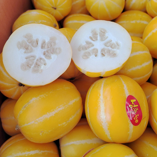 성주참외 꿀참외 소과 가정용 2kg (7-16과 내외)