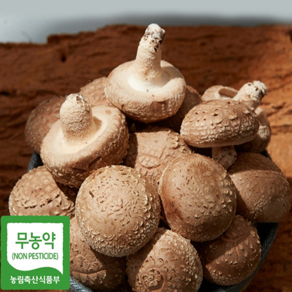 강원도 화천 무농약 향이 표고버섯 상품 1kg
