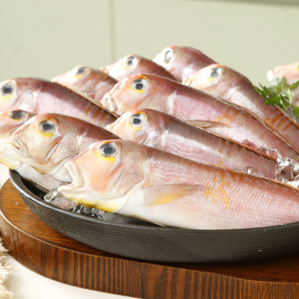 국내 제주 옥돔 통옥돔 450g 내외 (약 3-4미)